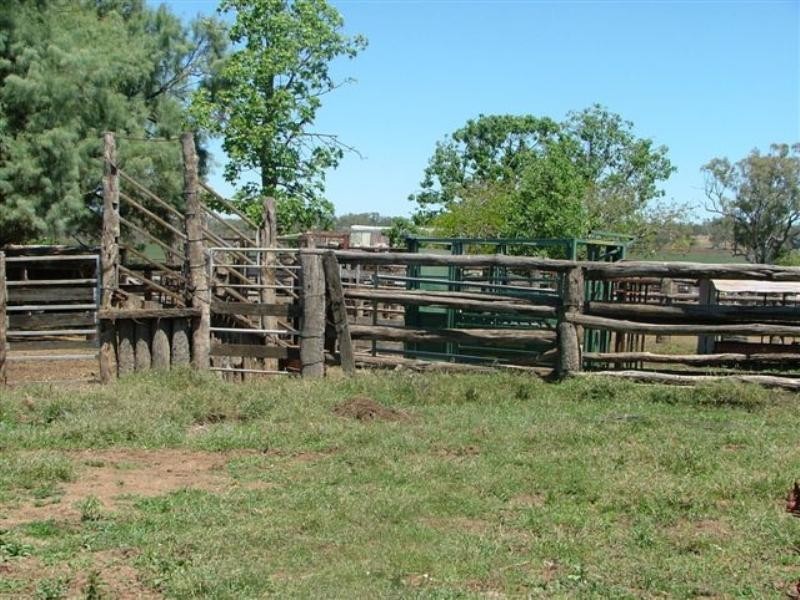 1597 Dalmally Road, Springsure QLD 4722