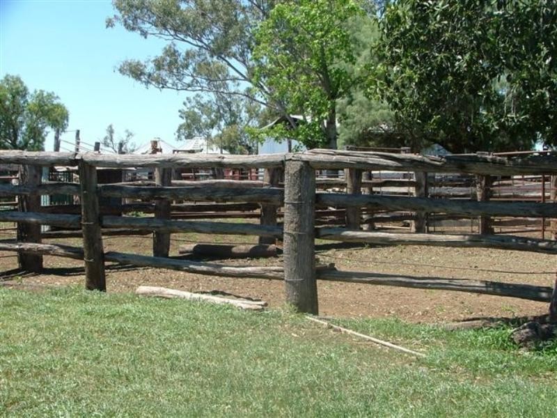 1597 Dalmally Road, Springsure QLD 4722