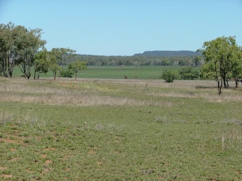 1597 Dalmally Road, Springsure QLD 4722