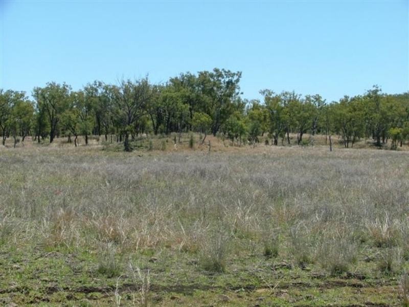 1597 Dalmally Road, Springsure QLD 4722