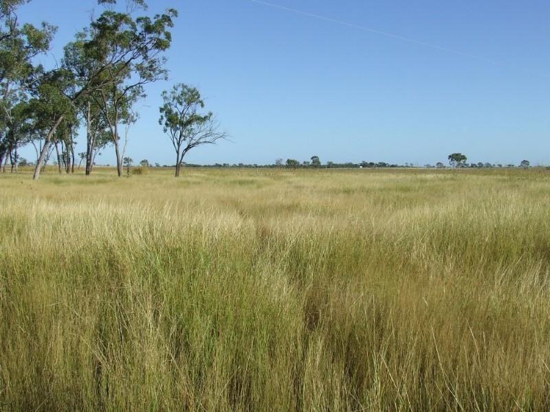 0 Lion Mountain Road, Alton Downs QLD 4702