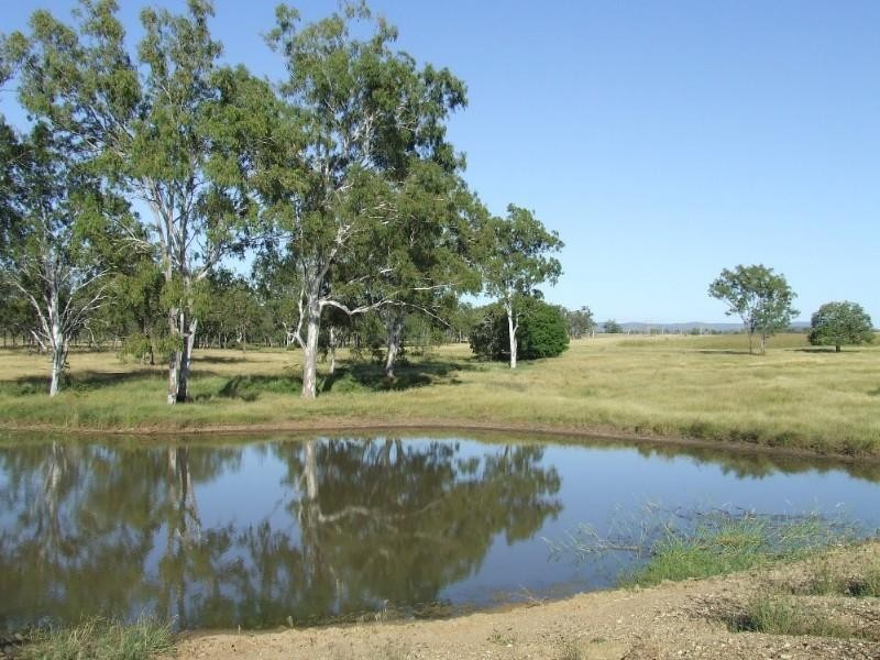 0 Lion Mountain Road, Alton Downs QLD 4702