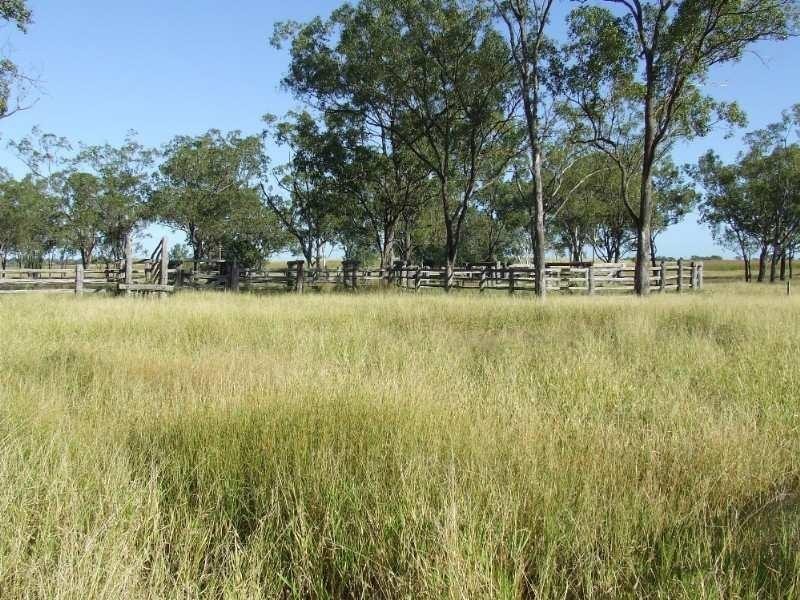 0 Lion Mountain Road, Alton Downs QLD 4702