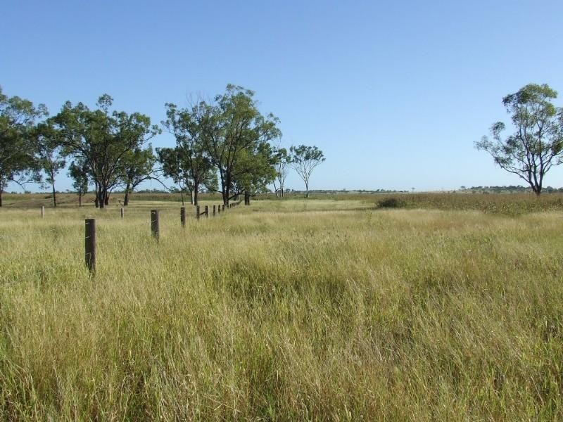 0 Lion Mountain Road, Alton Downs QLD 4702