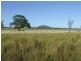 0 Lion Mountain Road, Alton Downs QLD 4702