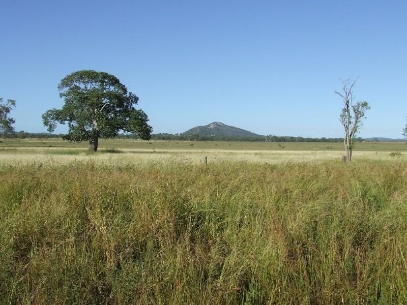 0 Lion Mountain Road, Alton Downs QLD 4702