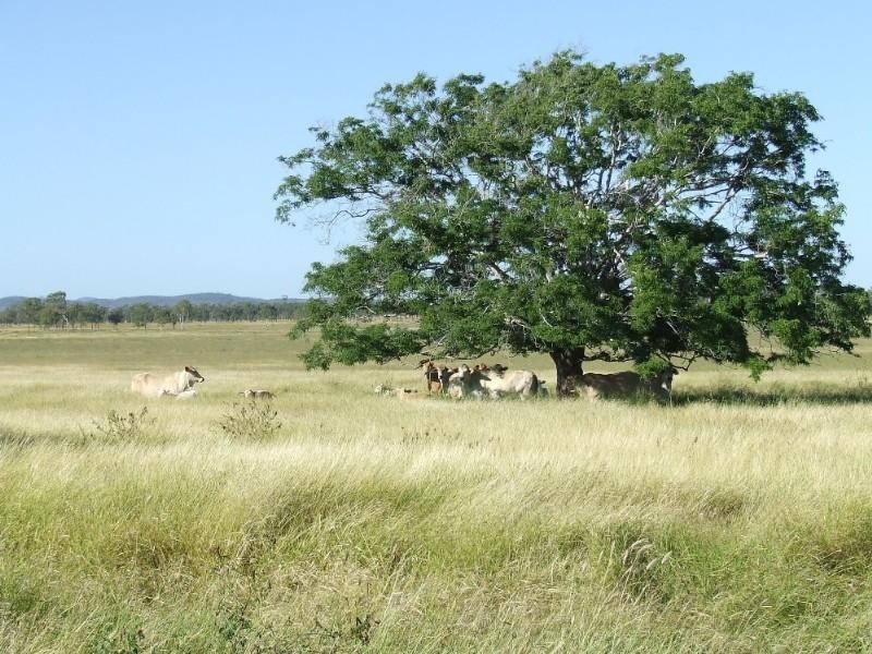 0 Lion Mountain Road, Alton Downs QLD 4702