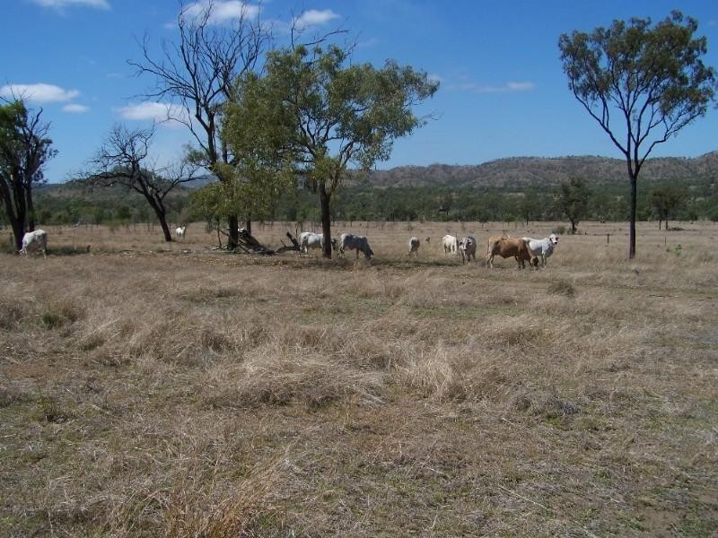 . Arthur Street, Westwood QLD 4702