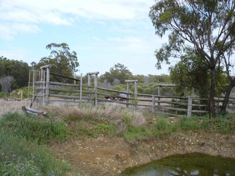 142 Peckovers Road, Cawarral QLD 4702