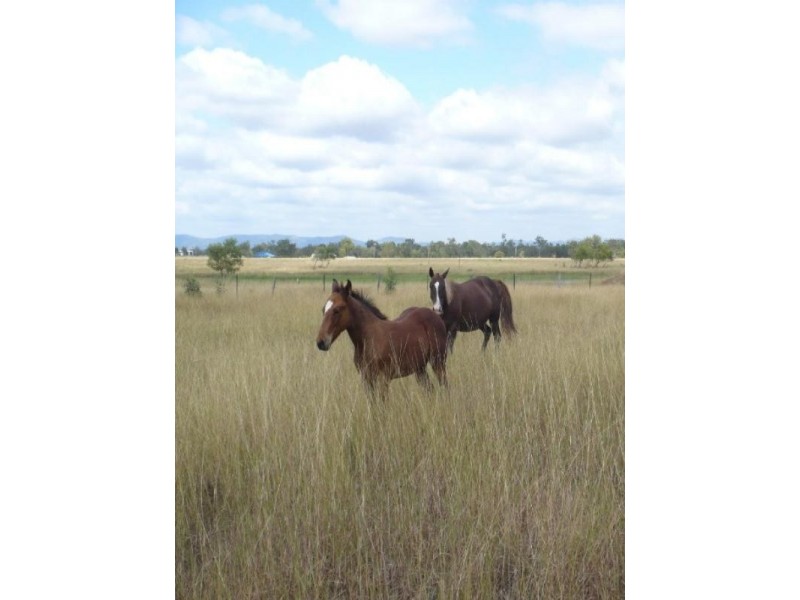53607 Burnett Highway, Gracemere QLD 4702
