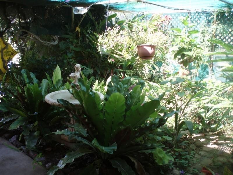 20 Hempseeds Road, Walmul QLD 4714