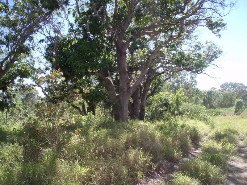 593 Joskeleigh Road, Joskeleigh QLD 4702