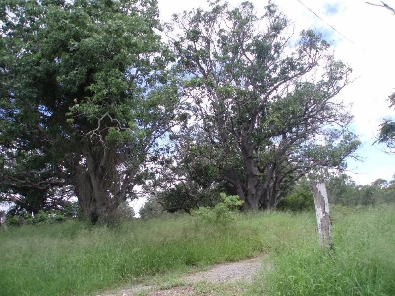 593 Joskeleigh Road, Joskeleigh QLD 4702