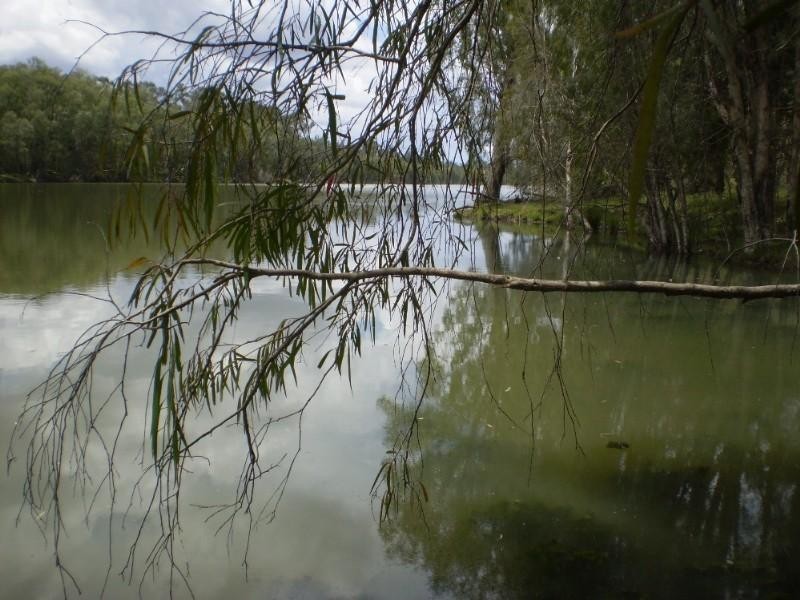 2432-2546 South Yaamba Road, Garnant QLD 4702