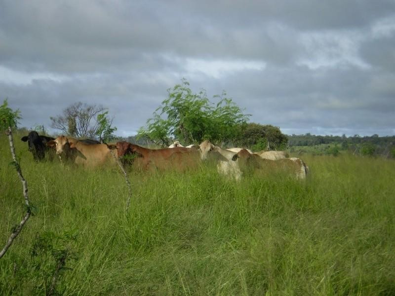 2432-2546 South Yaamba Road, Garnant QLD 4702