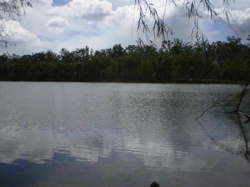 2432-2546 South Yaamba Road, Garnant QLD 4702