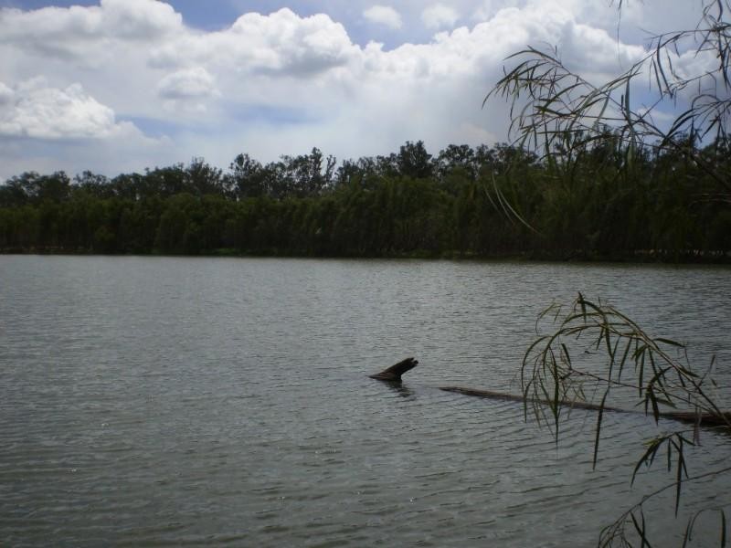 2432-2546 South Yaamba Road, Garnant QLD 4702