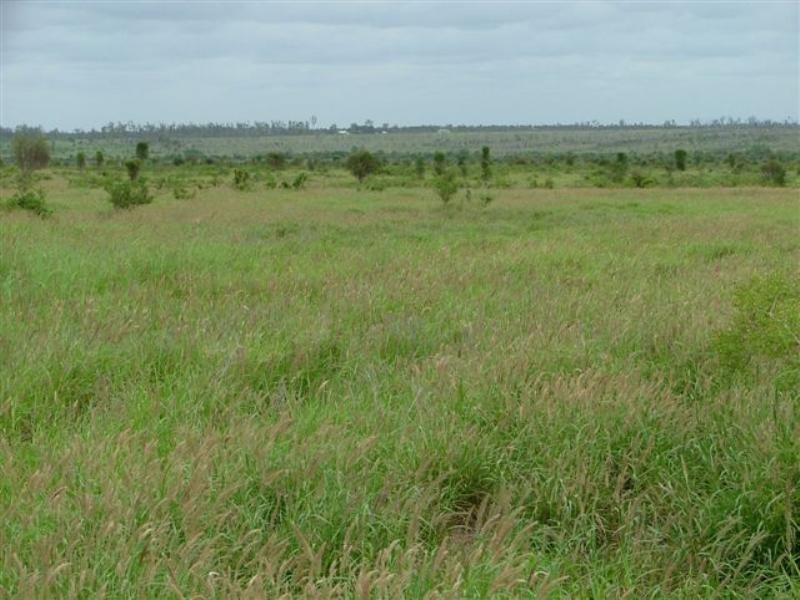 2002 May Downs-Carfax Road, Middlemount QLD 4746