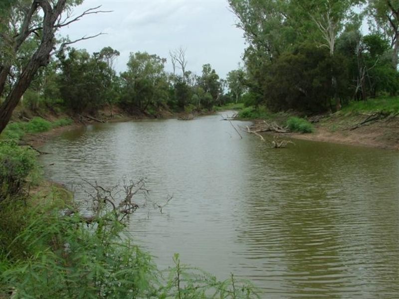 2002 May Downs-Carfax Road, Middlemount QLD 4746