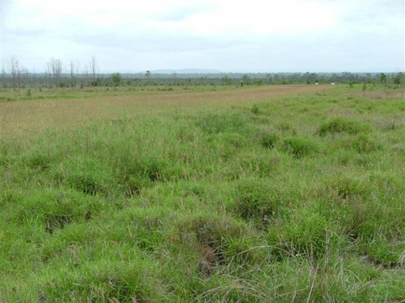 2002 May Downs-Carfax Road, Middlemount QLD 4746