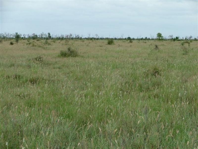 2002 May Downs-Carfax Road, Middlemount QLD 4746