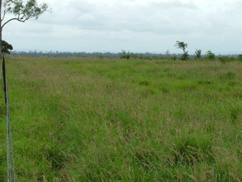 2002 May Downs-Carfax Road, Middlemount QLD 4746