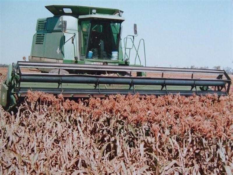 2002 May Downs-Carfax Road, Middlemount QLD 4746