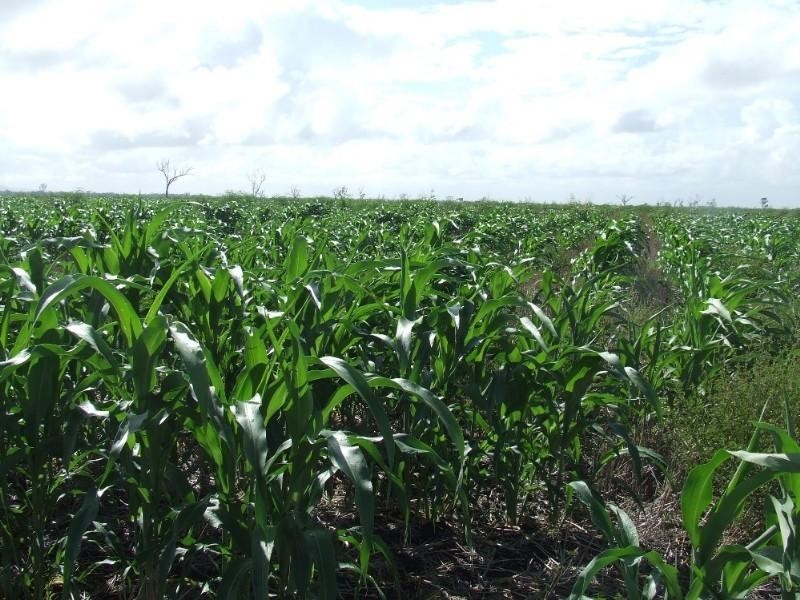 0 River Road, Midgee QLD 4702