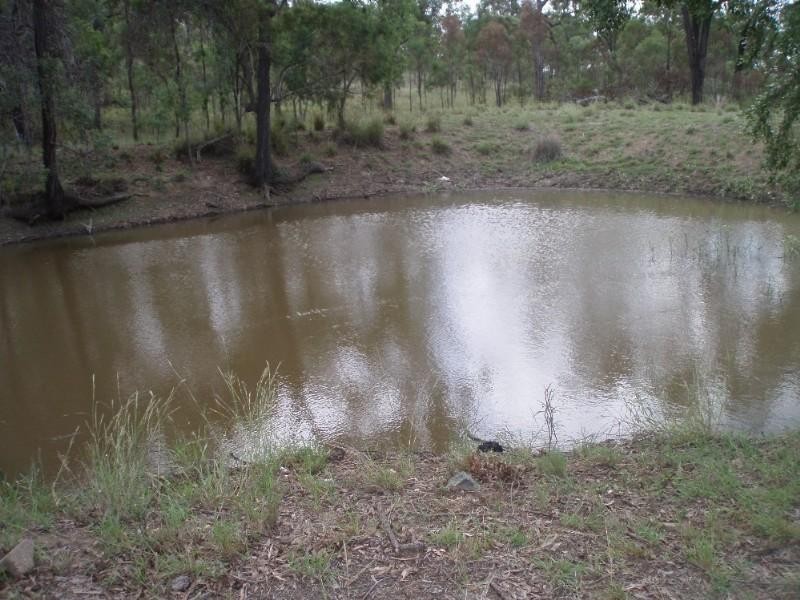 323 E Williams Road, Kabra QLD 4702