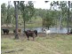 0 Lenz Access Road, Kokotungo QLD 4702