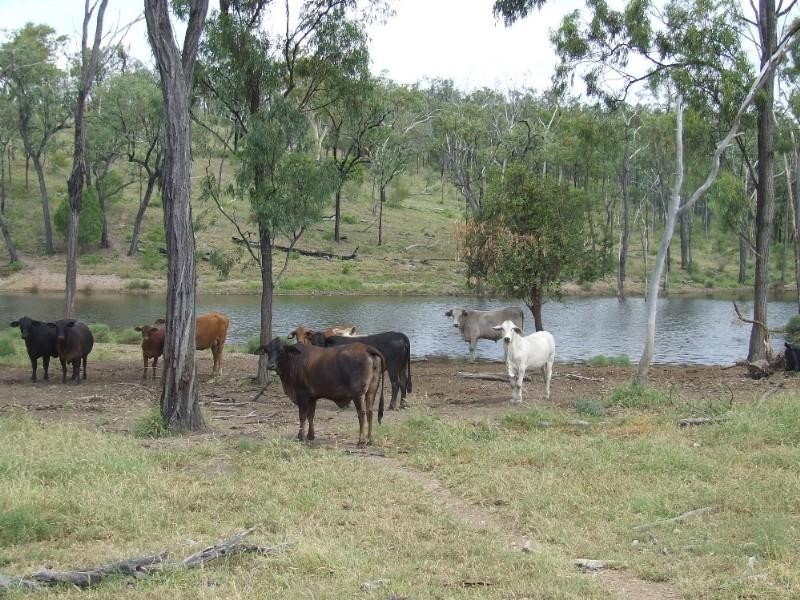 0 Lenz Access Road, Kokotungo QLD 4702