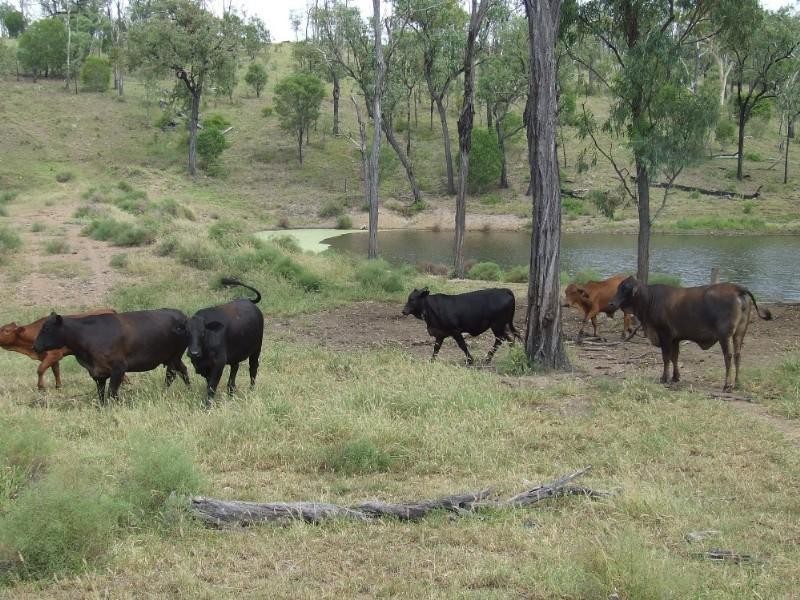 0 Lenz Access Road, Kokotungo QLD 4702