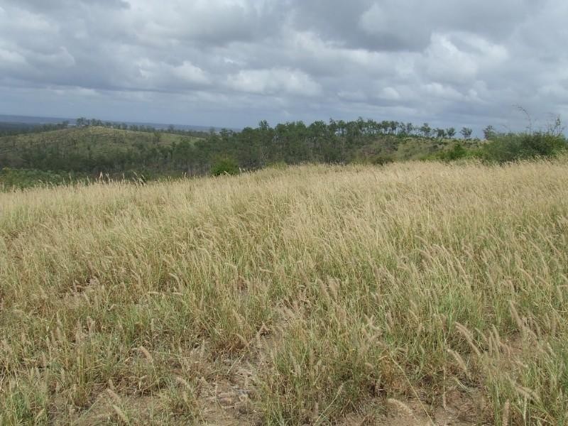 0 Lenz Access Road, Kokotungo QLD 4702