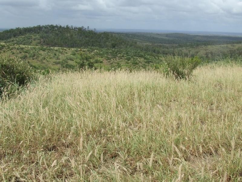 0 Lenz Access Road, Kokotungo QLD 4702