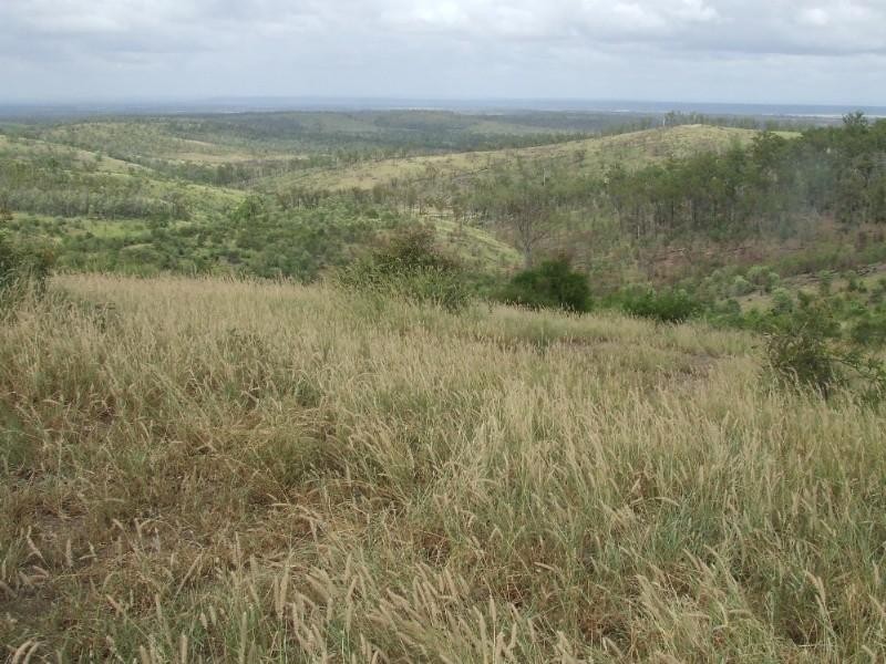 0 Lenz Access Road, Kokotungo QLD 4702