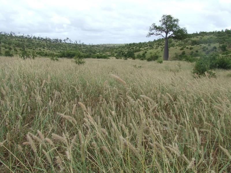 0 Lenz Access Road, Kokotungo QLD 4702