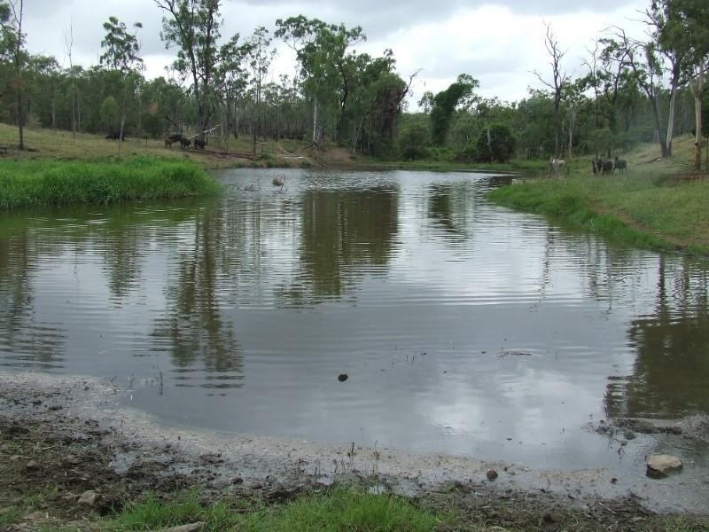 0 Lenz Access Road, Kokotungo QLD 4702