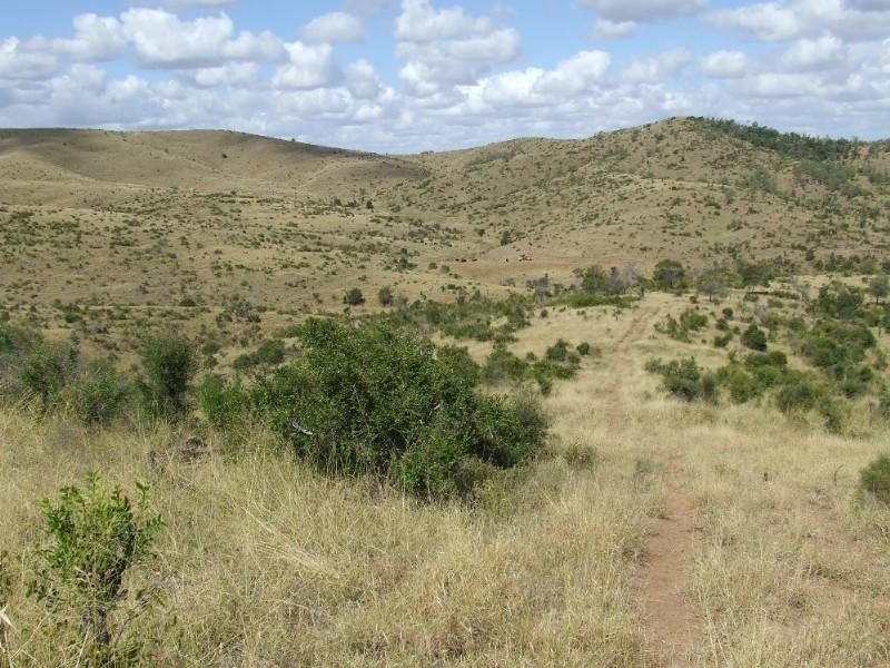 0 Lenz Access Road, Kokotungo QLD 4702