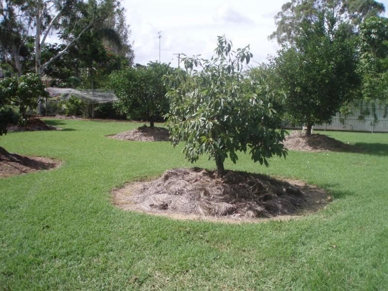 14 Fenwick Street, Gracemere QLD 4702