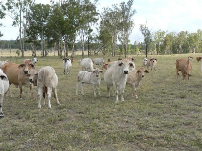 . Obil Bil Road, Mundubbera QLD 4626