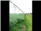 1536 Riverslea Road, Gogango QLD 4702