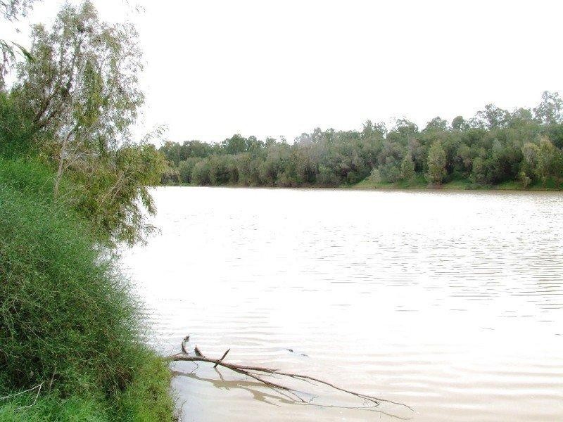 1536 Riverslea Road, Gogango QLD 4702