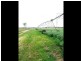 1536 Riverslea Road, Gogango QLD 4702