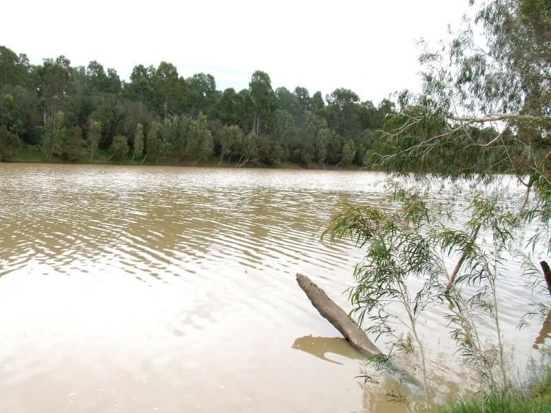 1536 Riverslea Road, Gogango QLD 4702