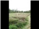 1536 Riverslea Road, Gogango QLD 4702