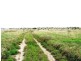 1536 Riverslea Road, Gogango QLD 4702