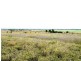 1536 Riverslea Road, Gogango QLD 4702