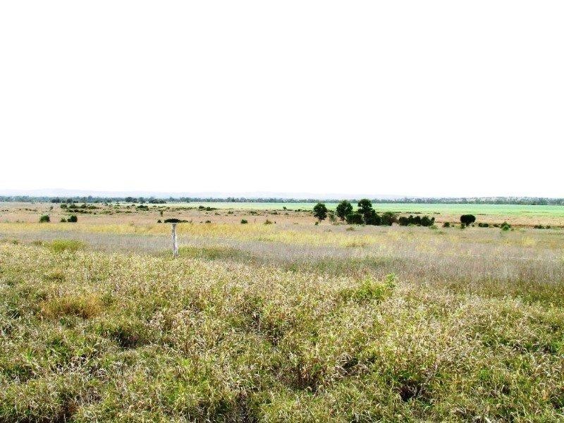 1536 Riverslea Road, Gogango QLD 4702