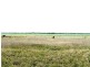 1536 Riverslea Road, Gogango QLD 4702