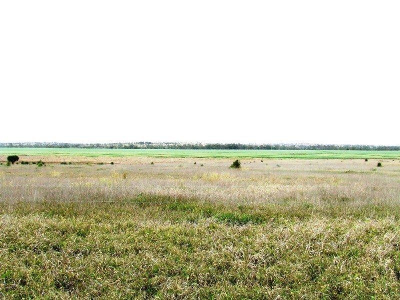 1536 Riverslea Road, Gogango QLD 4702